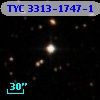 TYC 3313-1747-1
