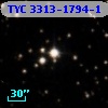 TYC 3313-1794-1