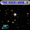 TYC 3313-1916-1