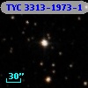 TYC 3313-1973-1