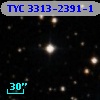 TYC 3313-2391-1