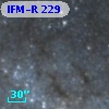 IFM-R 229