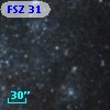 FSZ  31