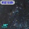 FSZ 519