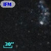 IFM-B  446