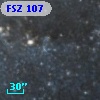 FSZ 107