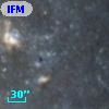 IFM-B  495