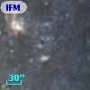 IFM-B  519