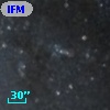 IFM-B  529
