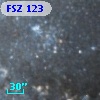 FSZ 123