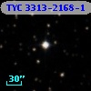 TYC 3313-2168-1
