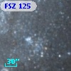 FSZ 125