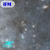IFM-B  591