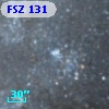 FSZ 131