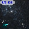 FSZ 133