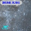 [HS80] R201