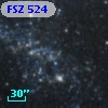 FSZ 524