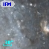 IFM-B  731