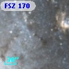 FSZ 170