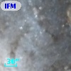 IFM-B  792