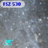 FSZ 530
