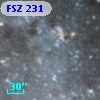 FSZ 231