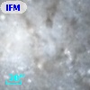 IFM-B  949