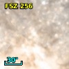 FSZ 256