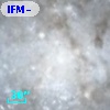 IFM-B 1091
