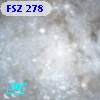 FSZ 278