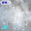 IFM-B 1125