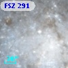 FSZ 291