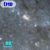 IFM-B 1195