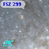 FSZ 299