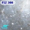 FSZ 300