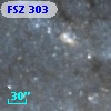 FSZ 303