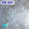 FSZ 317