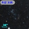 FSZ 318