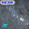 FSZ 319