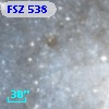 FSZ 538