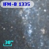 IFM-B 1335