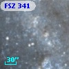 FSZ 341