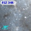 FSZ 348