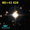 BD+42   828