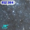 FSZ 384