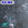FSZ 409