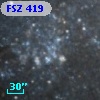FSZ 419