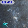 FSZ 429