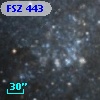 FSZ 443