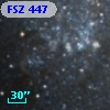 FSZ 447